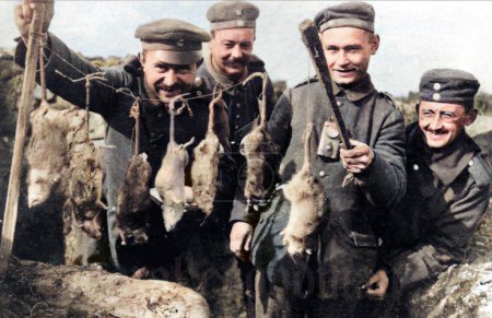 Photo for Europe, 1914-1918: Colored photo. Soldiers of the First World War and the problem of rat infection in the trenches. Fighters show the camera the rodents hunted on the battlefield. Original photograph, more than 100 years old, was in black and white. - Royalty Free Image