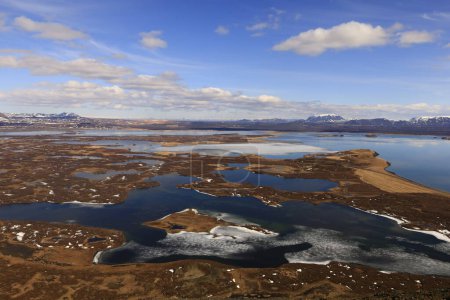 Myvatn is a shallow lake situated in an area of active volcanism in the north of Iceland, near Krafla volcano. It has a high amount of biological activity