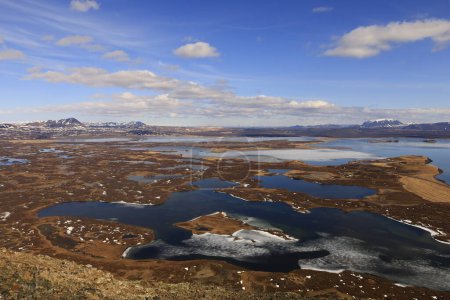 Photo for Myvatn is a shallow lake situated in an area of active volcanism in the north of Iceland, near Krafla volcano. It has a high amount of biological activity - Royalty Free Image