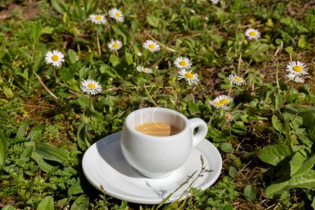 Brewed Bliss: Espresso Amongst the Daisies