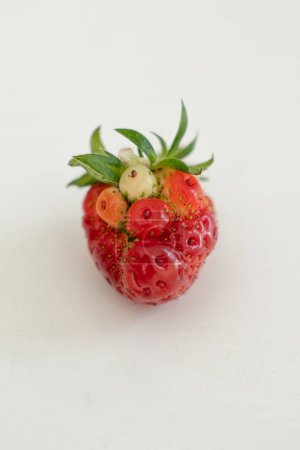 Photo for Nature's Query: The GMO Strawberry Conundrum - Royalty Free Image
