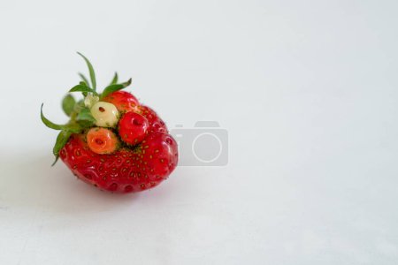 Photo for Nature's Query: The GMO Strawberry Conundrum - Royalty Free Image
