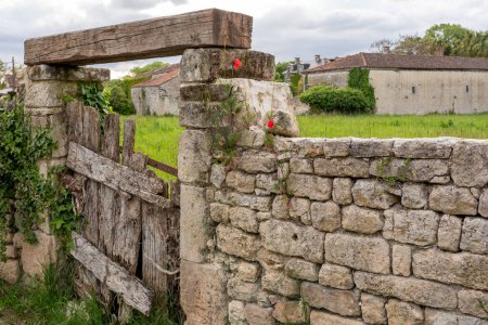 Rustic Gate and Red Poppies on Stone Wall