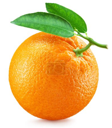 Foto de Perfect ripe orange with leaf on white background. File contains clipping path. - Imagen libre de derechos