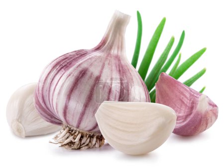 Foto de Garlic bulb, cloves and green leaves isolated on white background. - Imagen libre de derechos