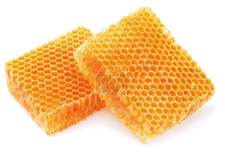 Foto de Fresh yellow honeycombs isolated on white background. Cells of the bee made structure contains honey. - Imagen libre de derechos