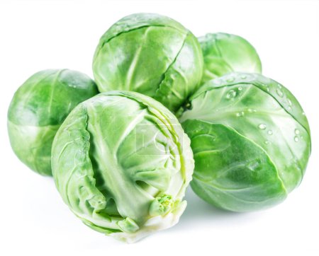 Foto de Miniature cabbages of brussels sprout isolated on white background. - Imagen libre de derechos