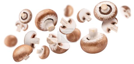 Flying brown cap champignons or agaricus mushrooms isolated on white background. Close-up.