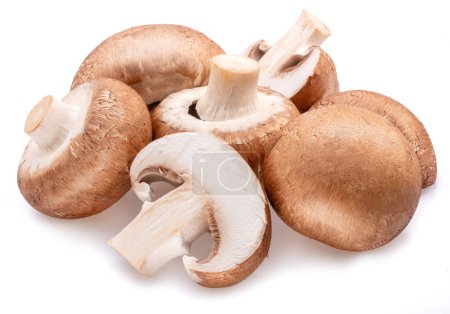 Brown cap champignons or agaricus mushrooms isolated on white background. Close-up.