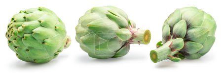 Three french artichoke buds isolated on white background.