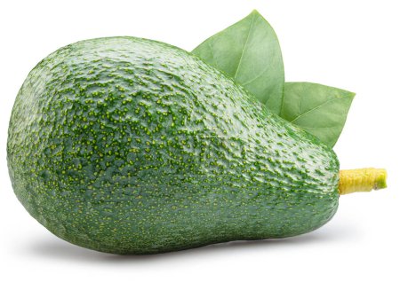 Photo for Avocado fruit with green leaf isolated on white background. - Royalty Free Image