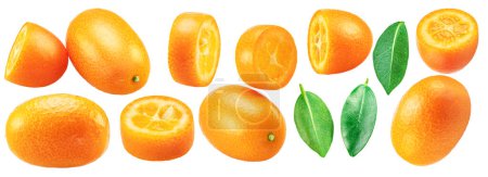 Conjunto de frutas kumquat y rodajas kumquat aisladas sobre fondo blanco.