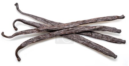 Dry vanilla fruit beans or vanilla sticks isolated on white background.