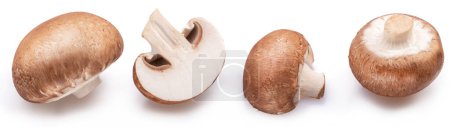 Brown cap champignons or agaricus mushrooms isolated on white background. Close-up.