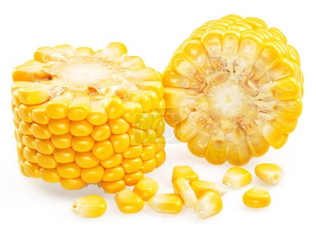 Piezas de mazorca de maíz o de mazorca de maíz sobre fondo blanco.