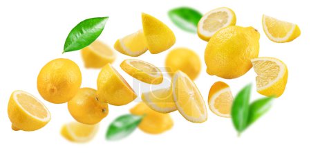 Foto de Ripe lemon fruits, lemon slices and leaves levitating in air isolated on white background. - Imagen libre de derechos
