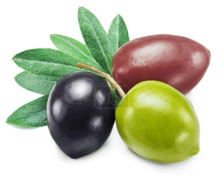 Photo for Kalamata, green and black olives with olive leaves isolated on white background. - Royalty Free Image