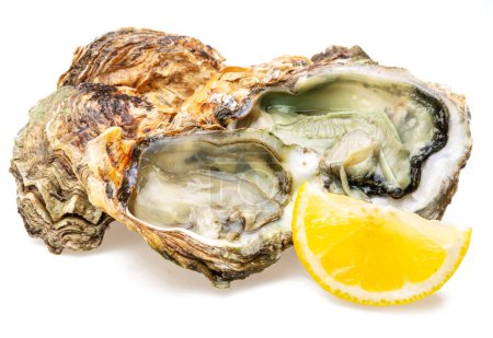 Raw oysters with lemon slice isolated on white background.