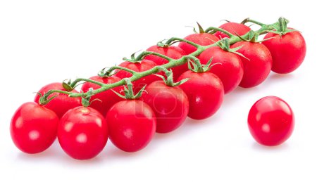 Photo for Ripe cherry tomatoes on branch isolated on white background. Popular worldwide product as ingredient in many Mediterranean dishes. - Royalty Free Image