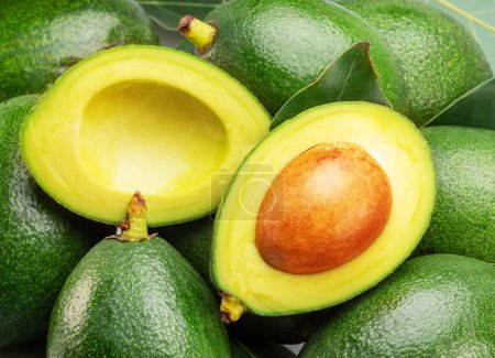 Photo for Lot of avocado fruits with leaves close up. Food background. - Royalty Free Image