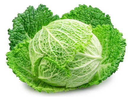 Photo for Savoy cabbage isolated on white background. File contains clipping path. - Royalty Free Image