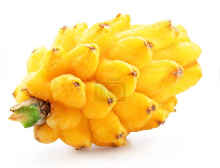 Pitahaya jaune ou fruit dragon jaune sur fond blanc. 