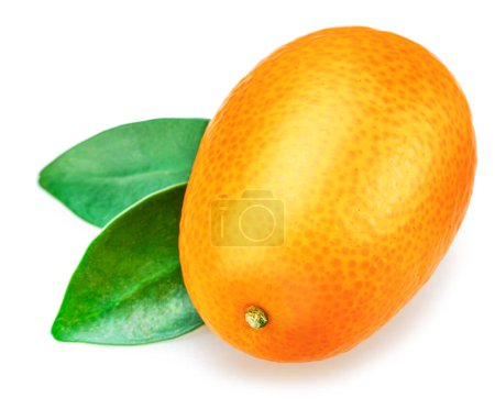 Reife Kumquatfrucht mit isolierten Blättern auf weißem Hintergrund.