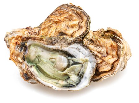 Photo for Raw oysters isolated on white background. - Royalty Free Image