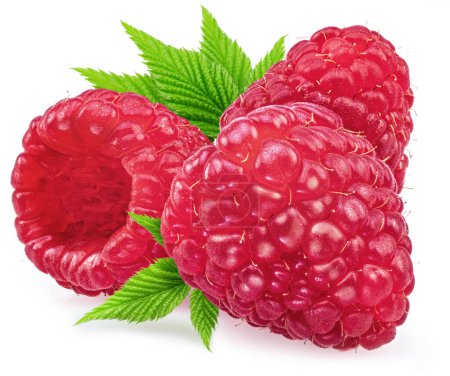Photo for Raspberries with leaves isolated on white background. - Royalty Free Image