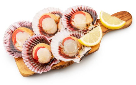 Edible raw opened scallops with lemon slice on wooden board. File contains clipping path.