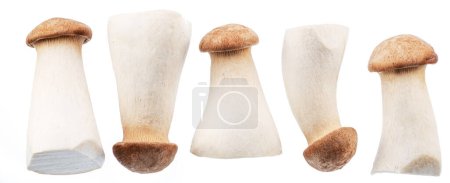 Photo for King oyster mushrooms or eryngii mushrooms isolated on white background. Close-up. - Royalty Free Image