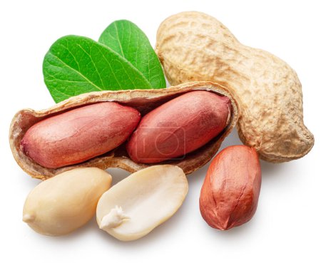 Photo for Peanut or groundnut whole and cracked on white background. Clipping path. - Royalty Free Image