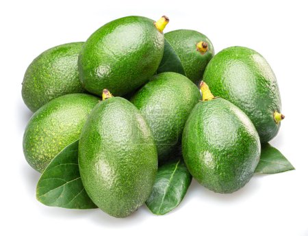 Photo for Lot of avocado fruits with leaves isolated on white background. - Royalty Free Image