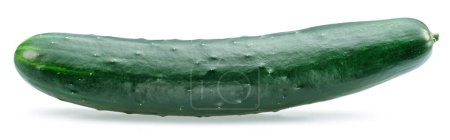 Photo for Raw cucumber isolated on white background. - Royalty Free Image