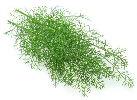 Photo for Green dill twigs isolated on white background. - Royalty Free Image