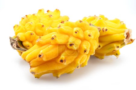 Yellow pitahaya or yellow dragon fruits on white background. 