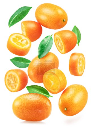 Foto de Caída de frutos de kumquat y rodajas de kumquat aisladas sobre fondo blanco. - Imagen libre de derechos