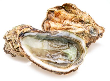 Geöffnete und geschlossene rohe Austern isoliert auf weißem Hintergrund.