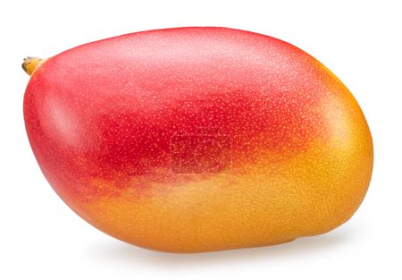 Téléchargez les photos : Mangue mûre avec peau rouge-jaune sur fond blanc. Sentier de coupe. - en image libre de droit