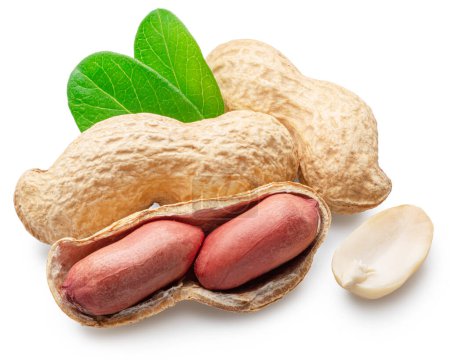 Peanut or groundnut whole and cracked on white background. Clipping path.