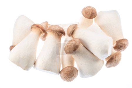 Téléchargez les photos : Champignons de l'huître royale ou champignons eryngiens isolés sur fond blanc. Gros plan. - en image libre de droit