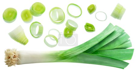 Rings of leek and leek with roots isolated on white background.
