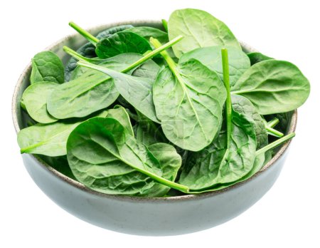 Photo for Green fresh spinach leaves in the bowl on white background. - Royalty Free Image