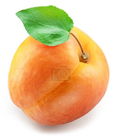 Ripe apricot with green leaf isolated on white background. File contains clipping path.