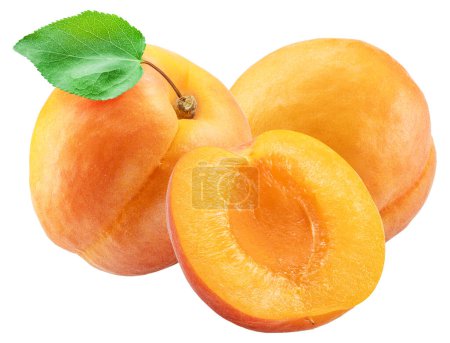 Ripe apricots and apricot half isolated on white background. File contains clipping path.