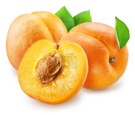 Reife Aprikose mit Blättern und Aprikosenhälfte auf weißem Hintergrund. Datei enthält Schnittpfad.