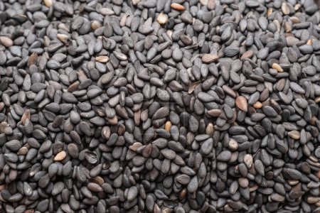 Photo for Black cumin seeds closeup. Food background. - Royalty Free Image