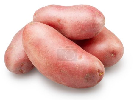 Red-skinned potatos on white background. File contains clipping path.