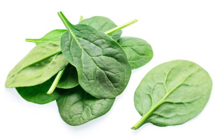Green fresh spinach leaves isolated on white background.