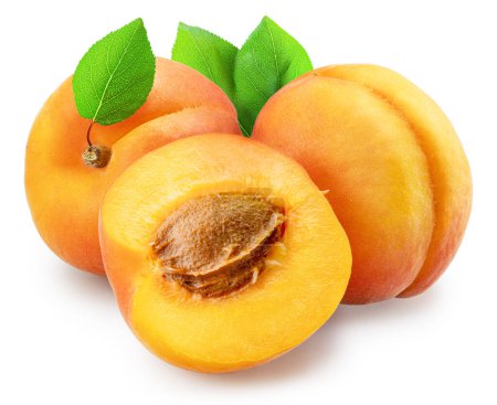 Photo for Ripe apricots with green leaves and apricot half isolated on white background. File contains clipping path. - Royalty Free Image